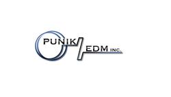 PUNIK EDM