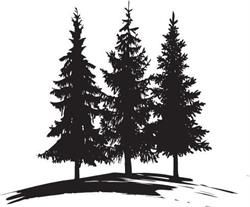 Tall Pines