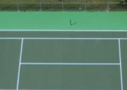 Colour-Court