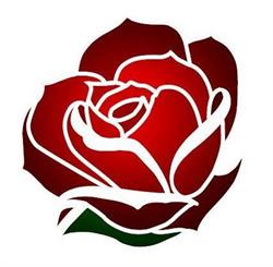 Select Roses