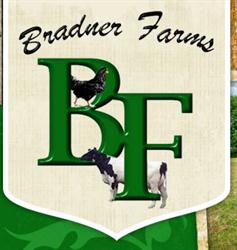 Bradner Farms