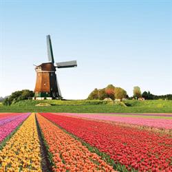 Holland Store