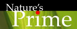 Natures Prime