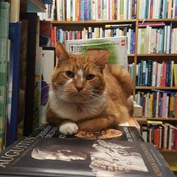 Seekers Books