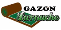 Gazon Larouche