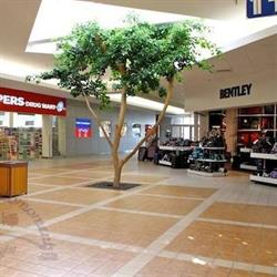 Southland Mall