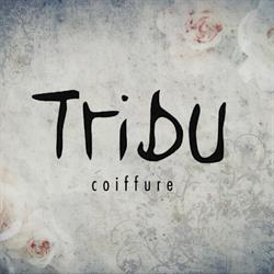 Tribu Coiffure