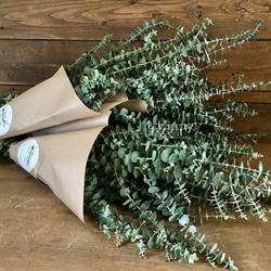 The Planted Arrow Flowers & Gifts