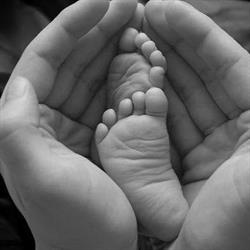 Guelph Midwives