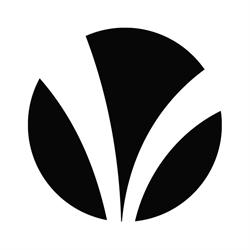 Vyn Flowers Incorporated