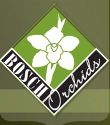 Bosch Best Roses