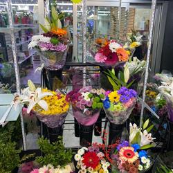 Deer Lake Market