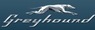 Greyhound
