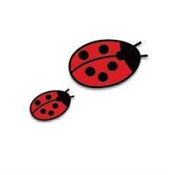 Ladybug Boutique