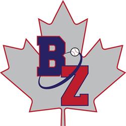 Baseball Zone The