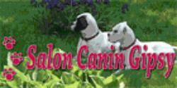 Salon Canin Gipsy