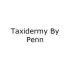 Taxidermy By Penn