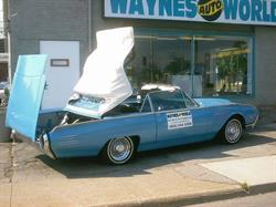 Waynes Auto World