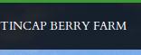 Tincap Berry Farm