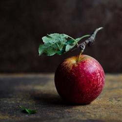 Apple Seed Cottage