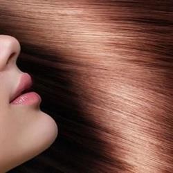Salon Coiffure Concordia