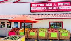 Dayton Red & White