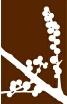 Gemini Flowers.com