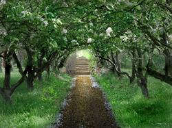 Pats Secret Garden
