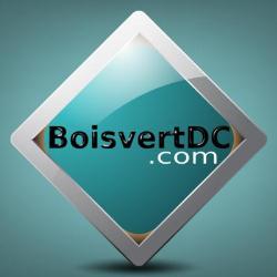 Chiropratique Ste-Julie - Daniel Boisvert DC