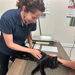 Brant Animal Clinic