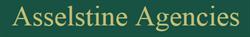 Asselstine Agencies