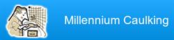 Millennium Caulking