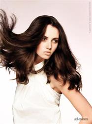 Strands Hair Design