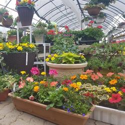 Belanger Landscaping