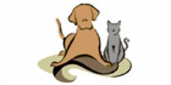 Best Friend Dog Care