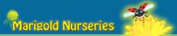 Marigold Nursery Ltd