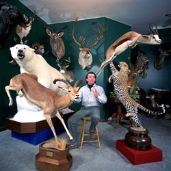 Pine-Ridge Taxidermy