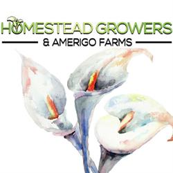 Homestead Growers Incorporated