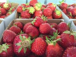 Macklins Farm Produce