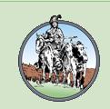 Nisutlin Trading Post