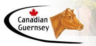 Canadian Guernsey Assn