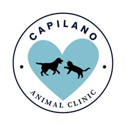 Capilano Animal Clinic