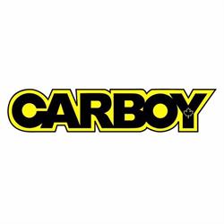 Carboy Auto Inc