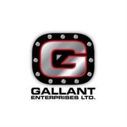Gallant Enterprise Ltd