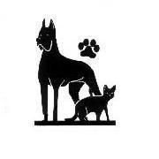 Desmond Animal Hospital