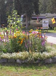Canyon Creek Campground
