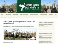 White Rock Ostrich Farm