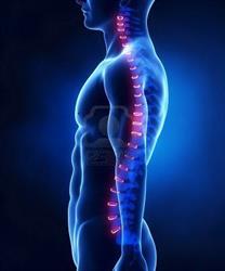 Ley Chiropractic Offices