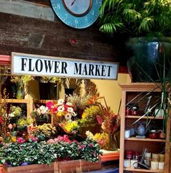 Holland House Flowers Ltd