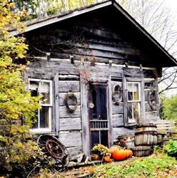 Log Cabin Organic Orchard